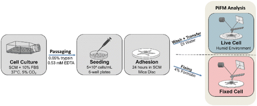 image file: d5fd00141b-f1.tif