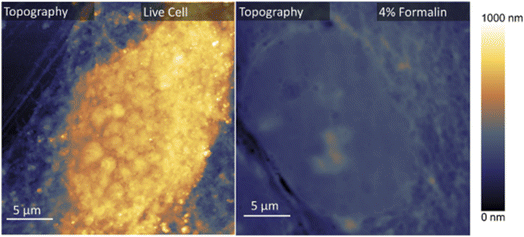 image file: d5fd00141b-f3.tif