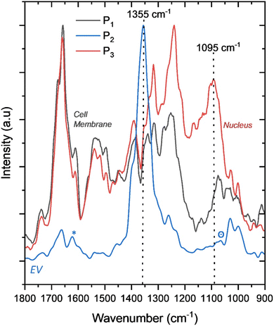 image file: d5fd00141b-f6.tif