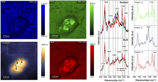 image file: d5fd00141b-f7.tif
