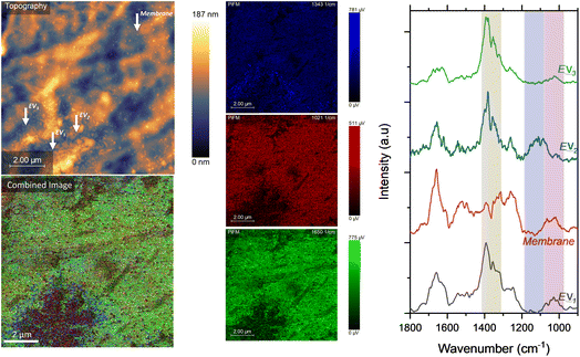 image file: d5fd00141b-f9.tif
