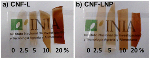 image file: d5fd00153f-f6.tif