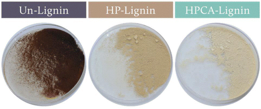 image file: d5fd00153f-f7.tif