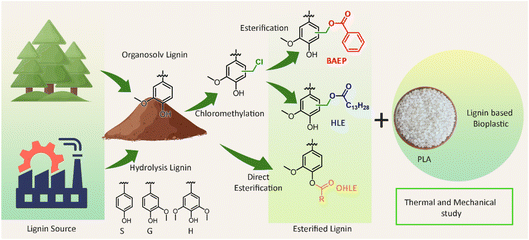 image file: d5fd00153f-f8.tif