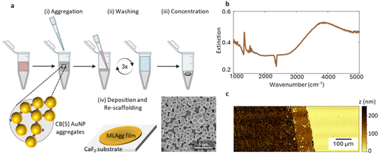 image file: d5fd00160a-f1.tif