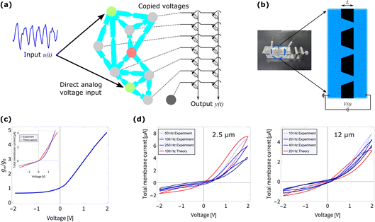 image file: d5fd00168d-f1.tif