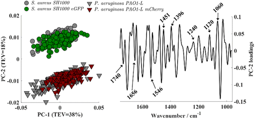 image file: d5fd00175g-f2.tif