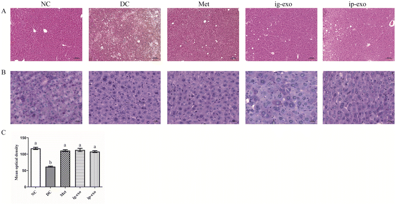 image file: d5fo02492g-f5.tif