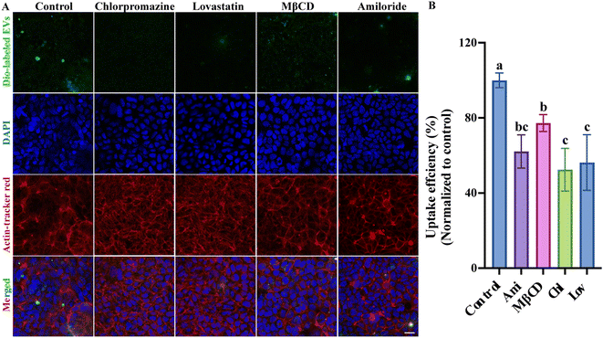 image file: d5fo03126e-f4.tif