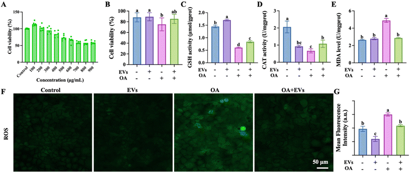 image file: d5fo03126e-f5.tif