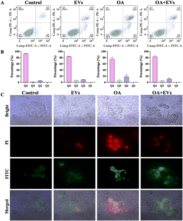 image file: d5fo03126e-f6.tif