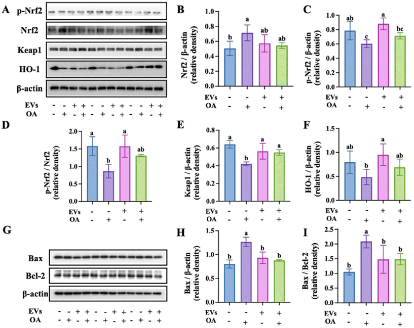 image file: d5fo03126e-f8.tif