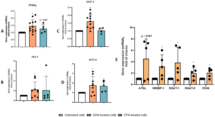 image file: d5fo03219a-f7.tif