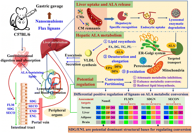 image file: d5fo03469h-f8.tif