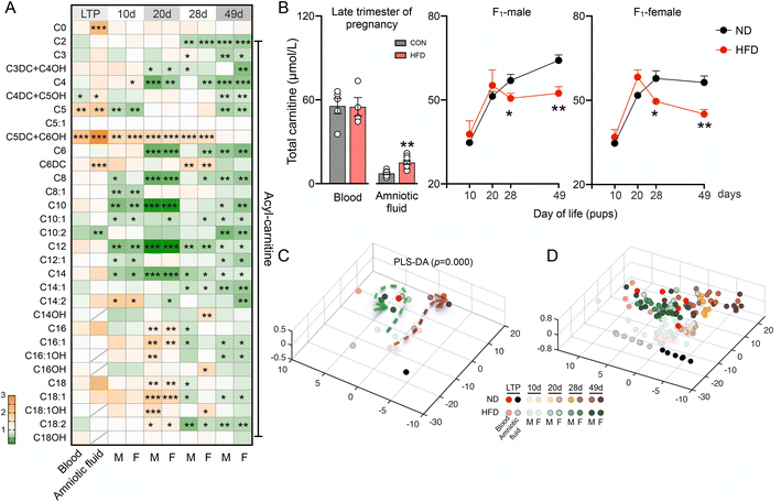 image file: d5fo03845f-f1.tif