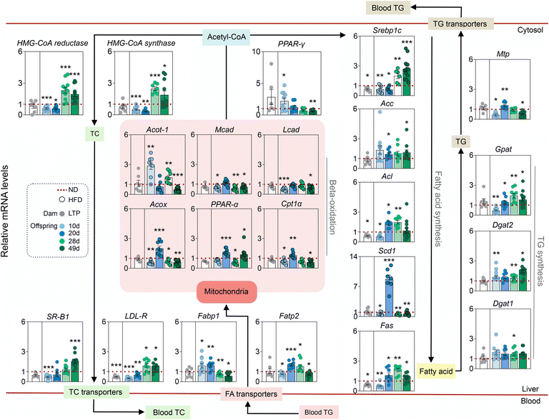 image file: d5fo03845f-f2.tif