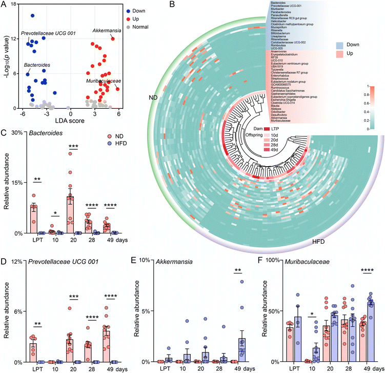 image file: d5fo03845f-f4.tif
