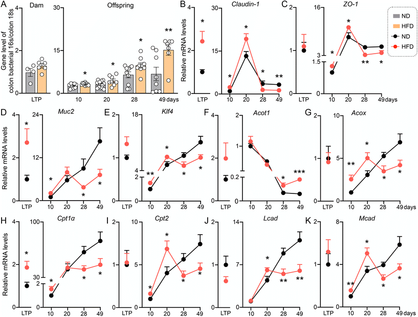 image file: d5fo03845f-f6.tif