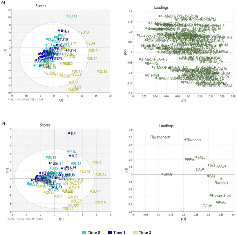 image file: d5fo04088d-f2.tif