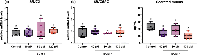 image file: d5fo04465k-f1.tif