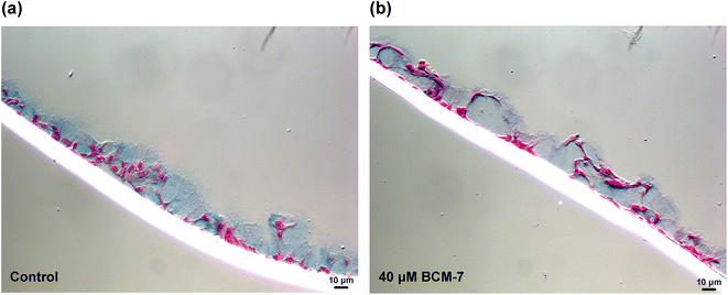 image file: d5fo04465k-f2.tif