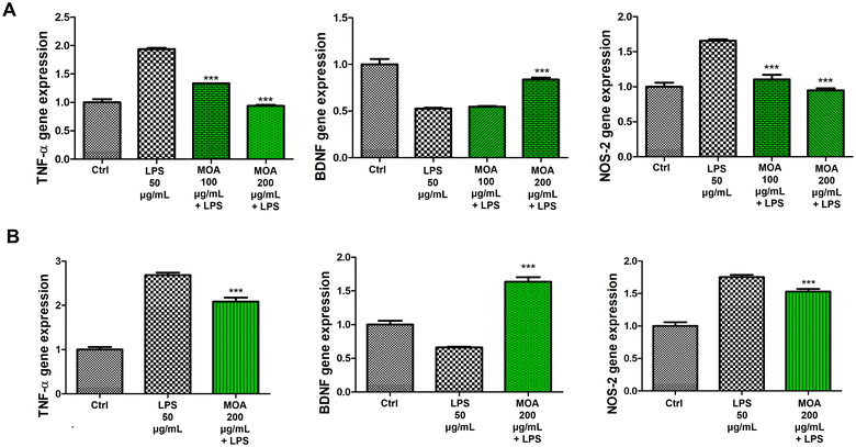 image file: d5fo04584c-f3.tif
