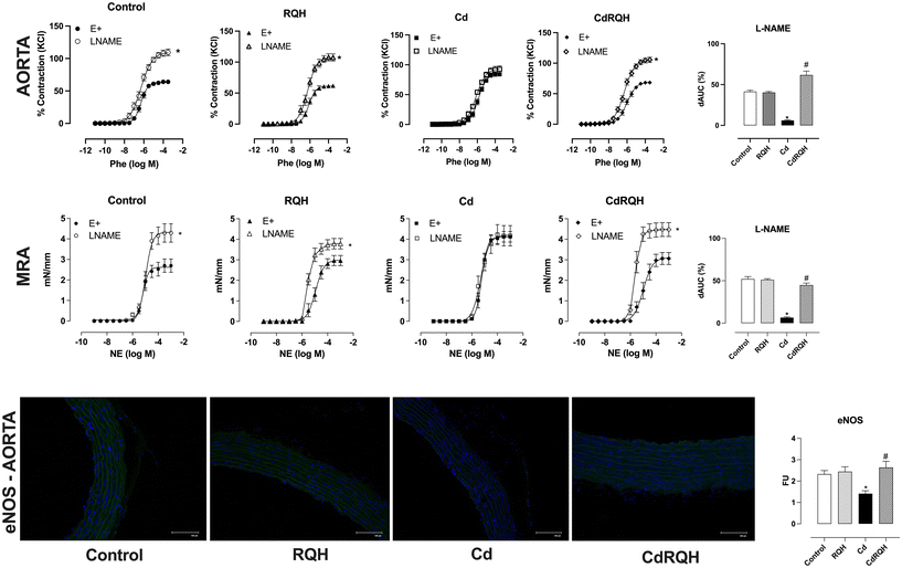 image file: d5fo04828a-f2.tif