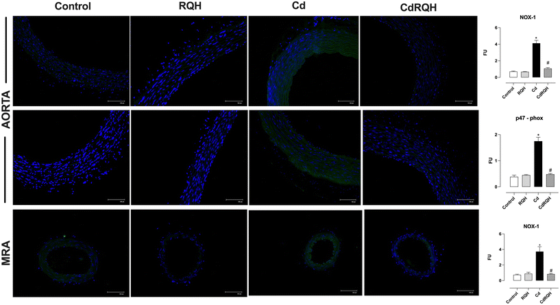 image file: d5fo04828a-f4.tif