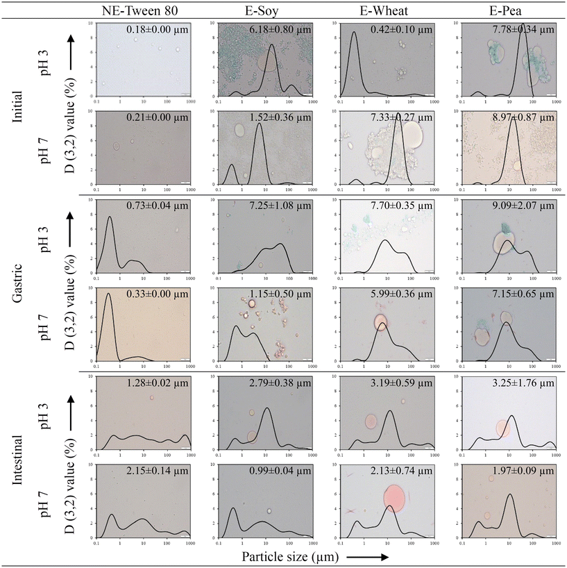 image file: d5fo05533d-f2.tif