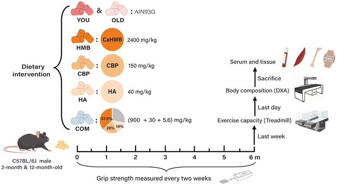 image file: d6fo00352d-f1.tif