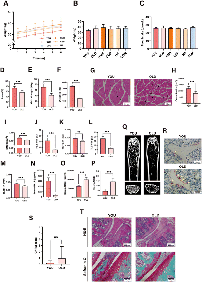 image file: d6fo00352d-f2.tif