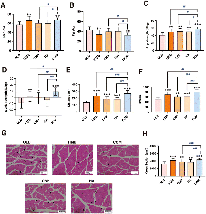 image file: d6fo00352d-f3.tif