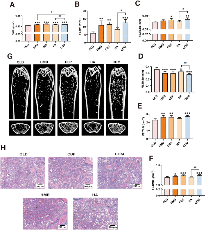 image file: d6fo00352d-f4.tif