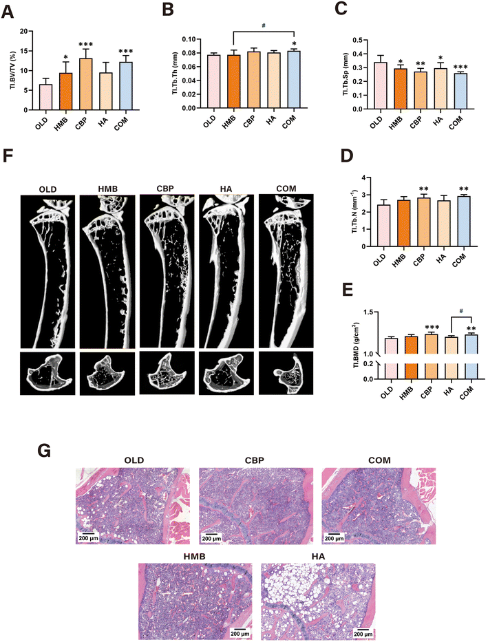 image file: d6fo00352d-f5.tif