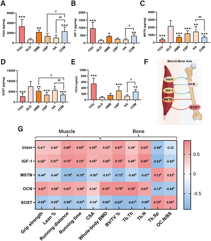image file: d6fo00352d-f7.tif