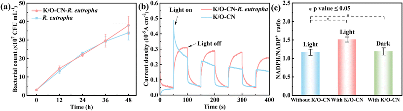image file: d5gc02437d-f4.tif