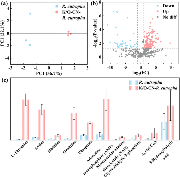 image file: d5gc02437d-f5.tif