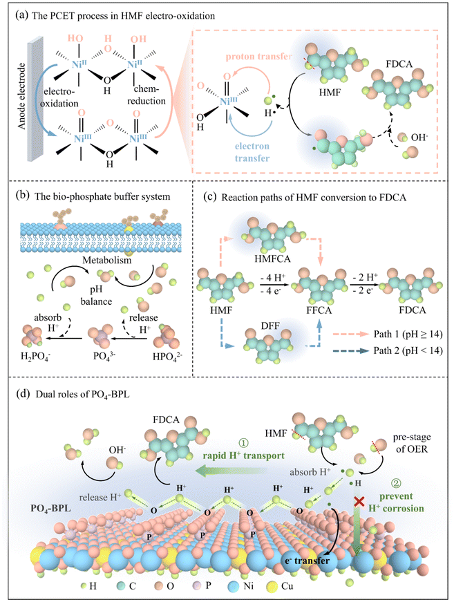 image file: d5gc04249f-s1.tif