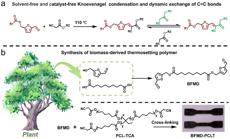 image file: d5gc04302f-s1.tif