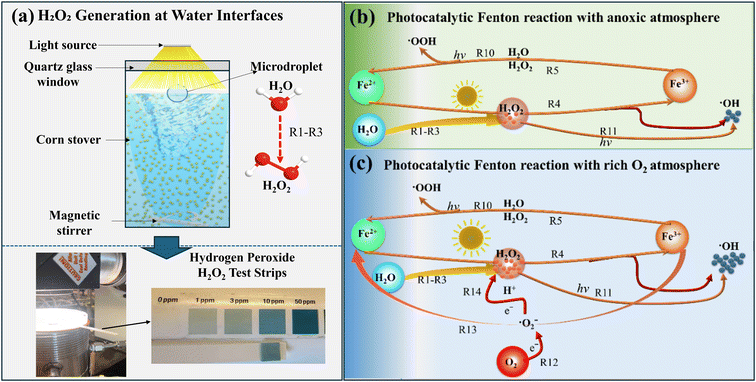 image file: d5gc04545b-f4.tif