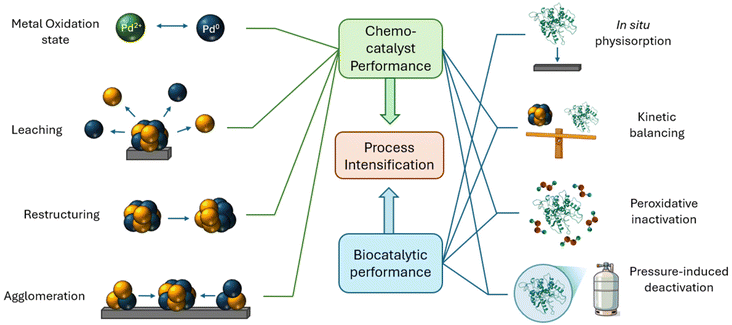 image file: d5gc05367f-f9.tif