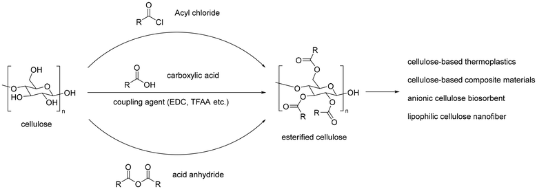 image file: d5gc05832e-s1.tif
