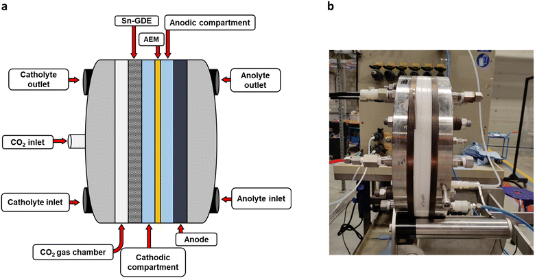 image file: d5im00056d-f10.tif