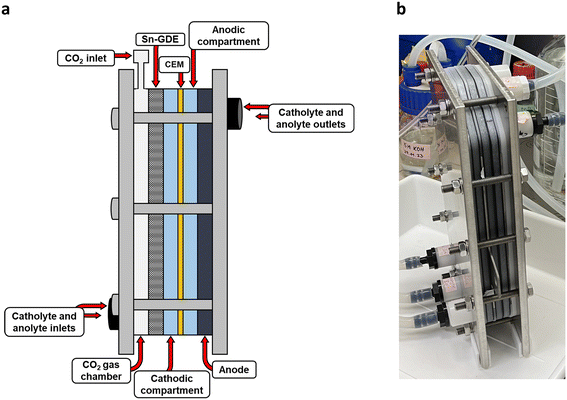 image file: d5im00056d-f8.tif