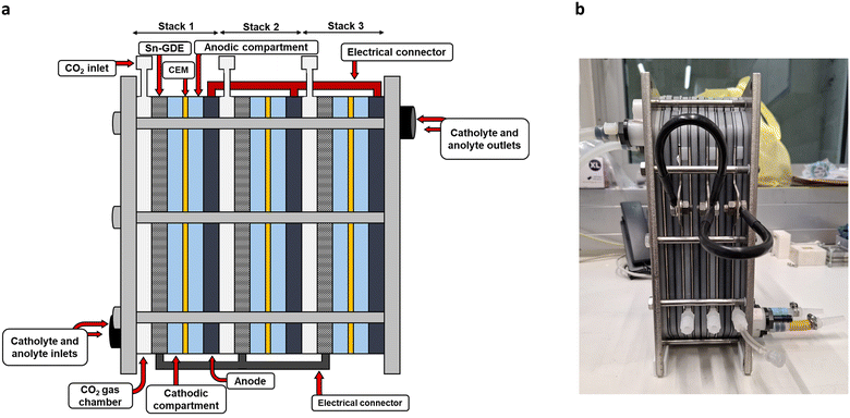 image file: d5im00056d-f9.tif