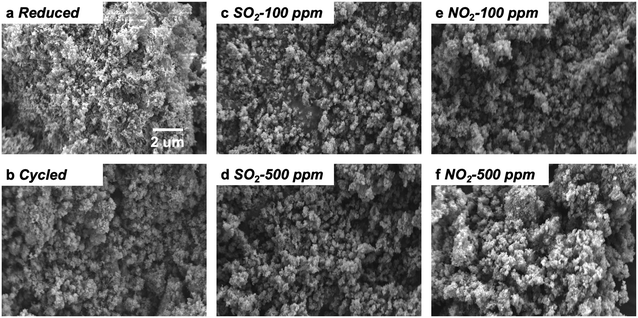 image file: d5im00087d-f9.tif