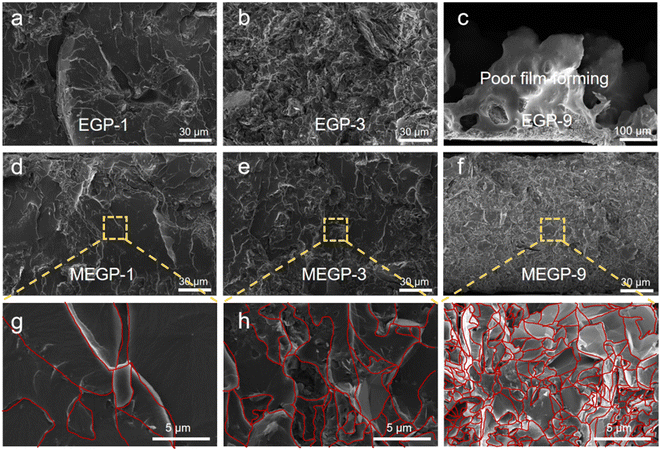 image file: d5im00115c-f3.tif