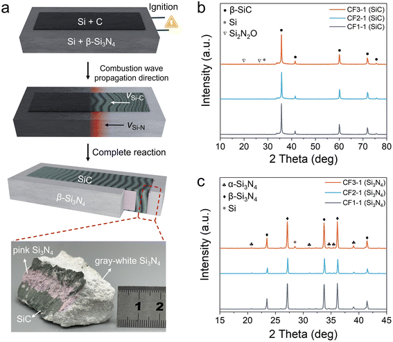 image file: d5im00191a-f2.tif