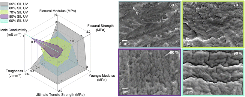 image file: d5im00320b-f2.tif