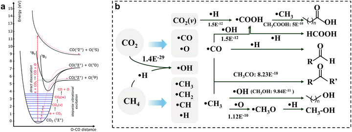 image file: d5im00347d-f1.tif